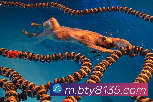 App Interface Preview